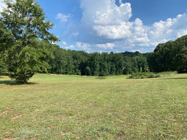 695 Crump Mill Road Martin, GA 30557 - Photo 4 of 26 a view of a field with an trees