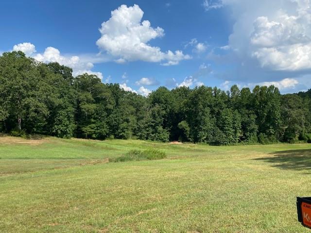 695 Crump Mill Road Martin, GA 30557 - Photo 6 of 26 a view of a field with an trees in the background