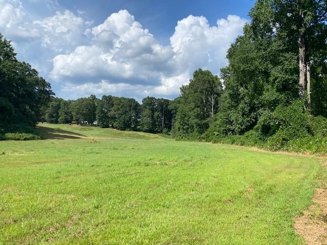 695 Crump Mill Road Martin, GA 30557 - Photo 7 of 26 a view of a big yard with a trampoline