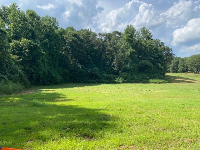 695 Crump Mill Road Martin, GA 30557 - Photo 8 of 26 a view of a yard with large trees