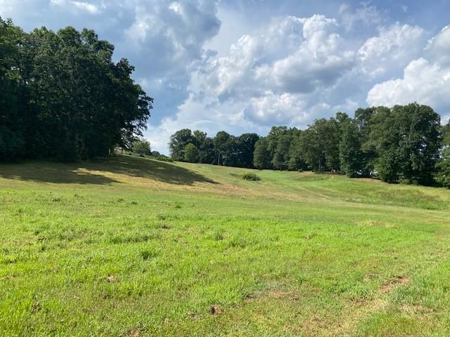 695 Crump Mill Road Martin, GA 30557 - Photo 9 of 26 a view of a field with an trees in the background