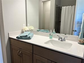 13309 Riding Drive Manor, TX 78653 - Photo 15 of 34 Full bathroom featuring vanity and a shower with shower curtain