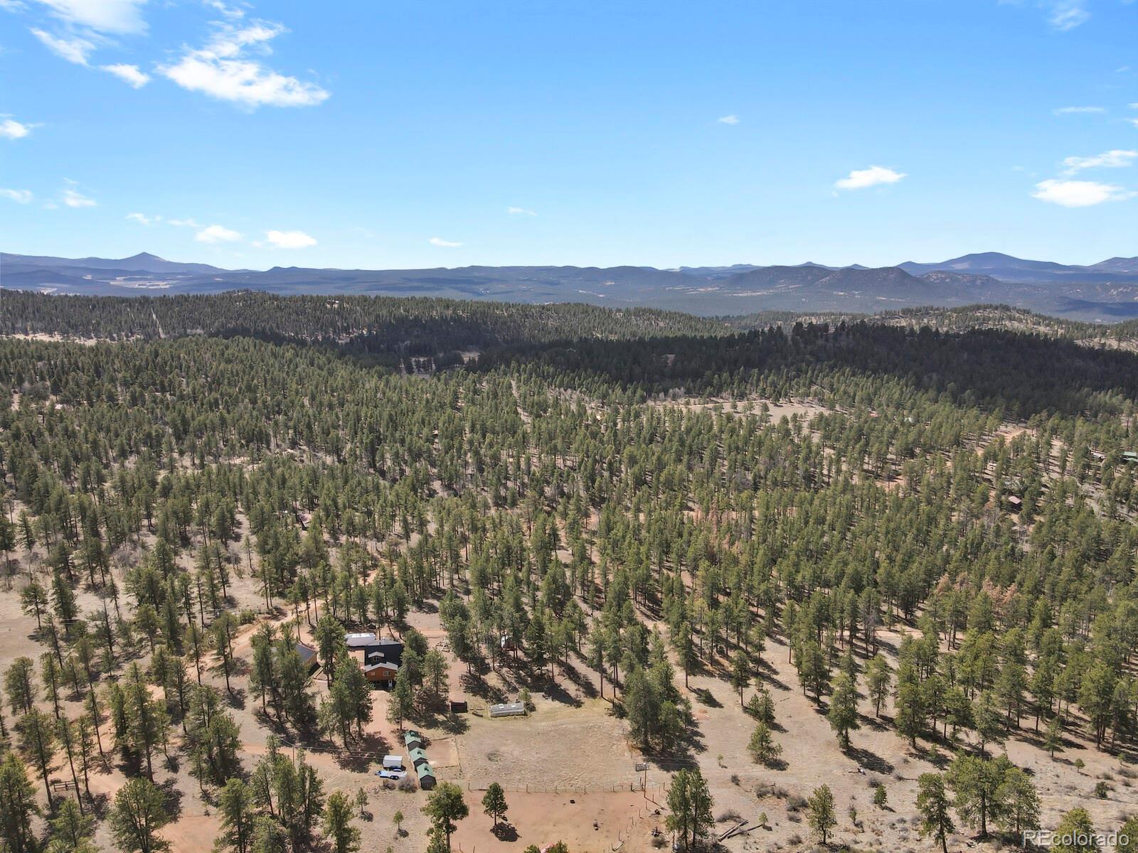 881 Trail Creek Road Lake George, CO 80827 - Photo 38 of 46