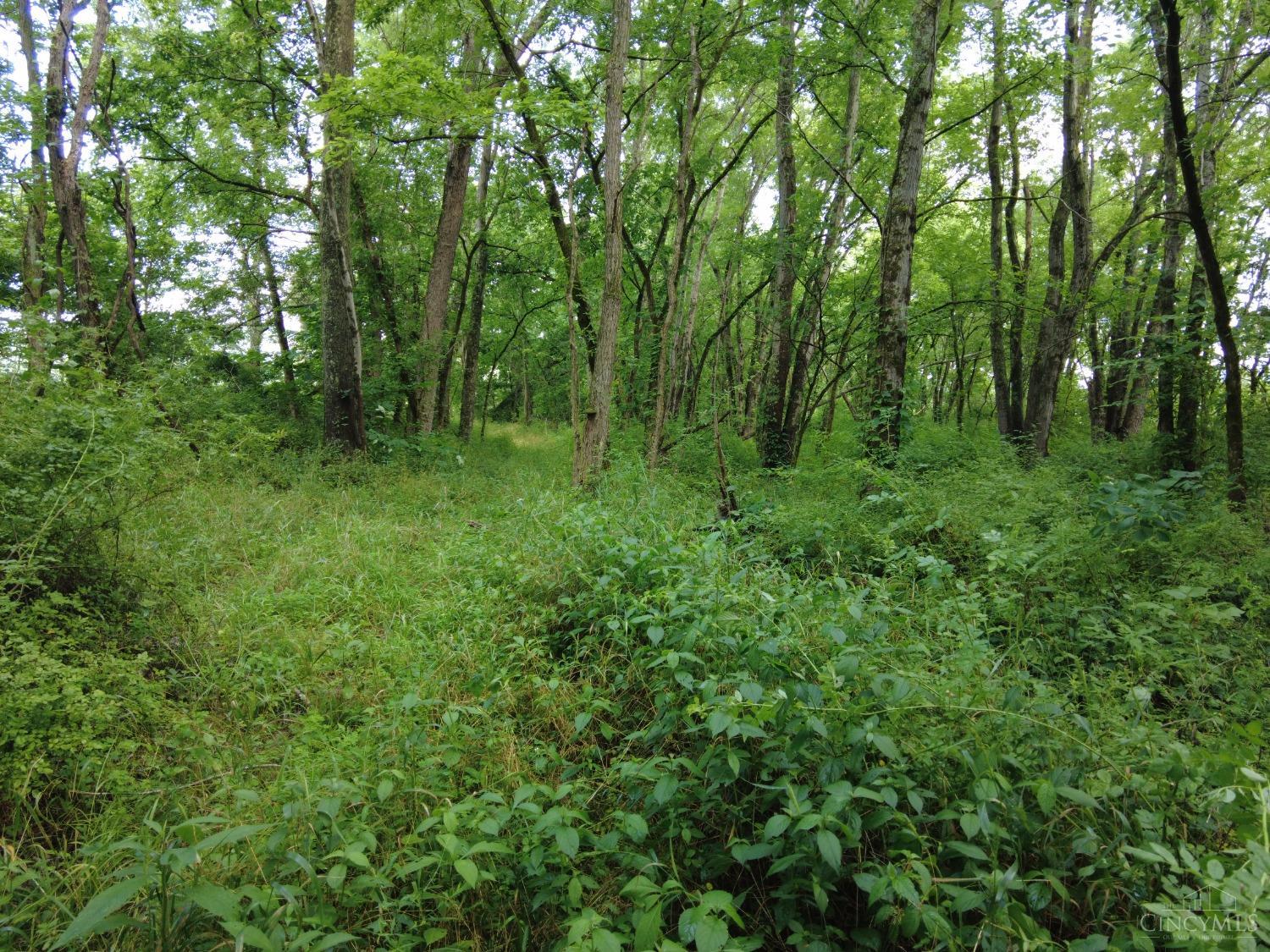 Ac Ohio Brush Creek Road Manchester, OH 45144 - Photo 23 of 26
