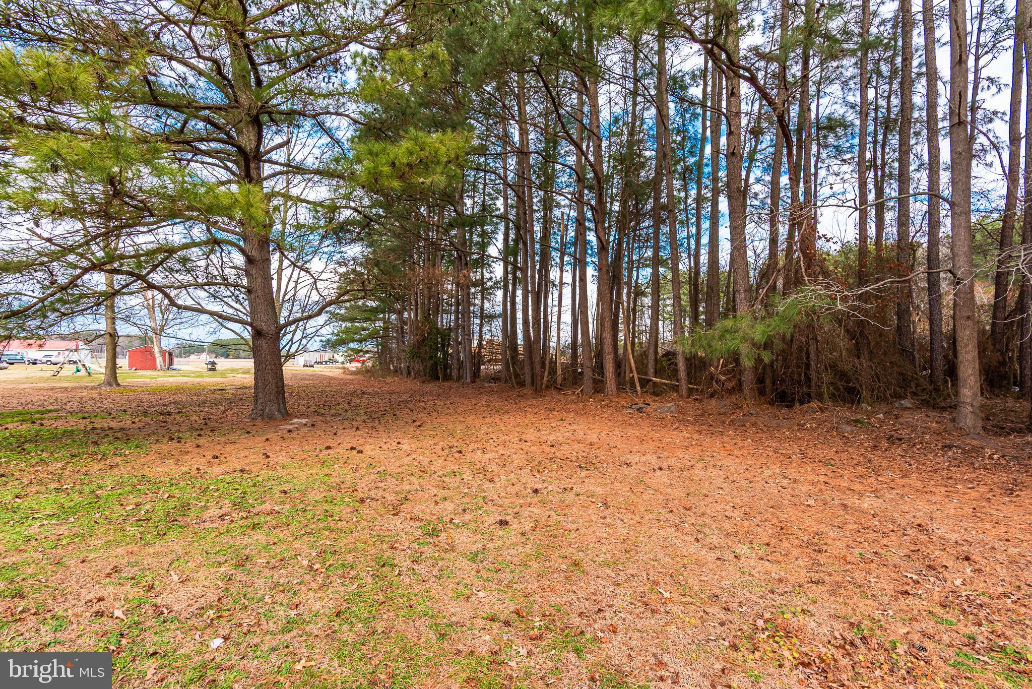 1745 Buck Harbor Road Pocomoke City, MD 21851 - Photo 4 of 29 a backyard of a house with lots of green space