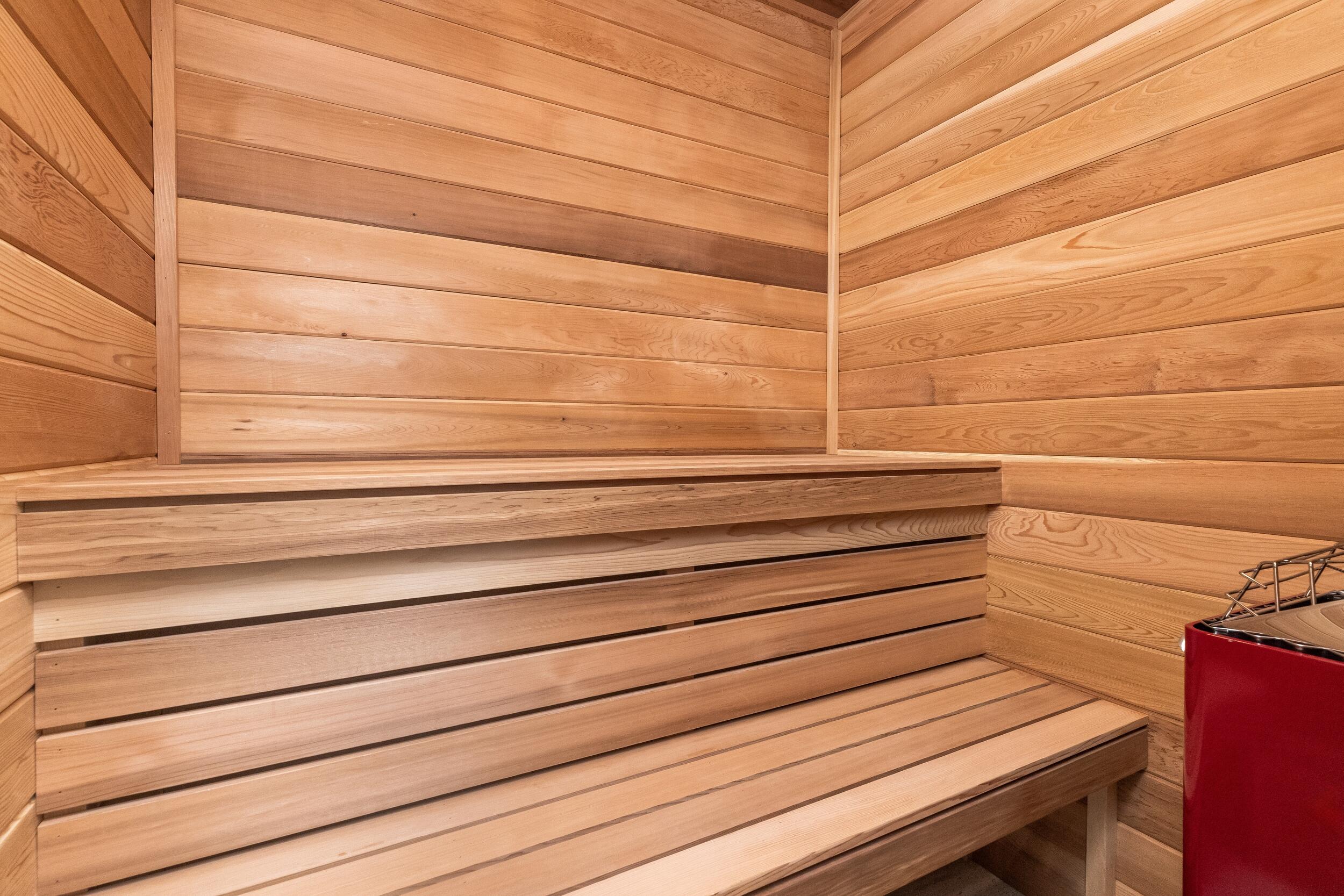 217 Thatch Palm Drive Boca Raton, FL 33432 - Photo 59 of 78 Sauna