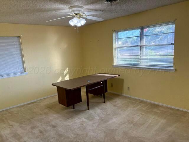 2713 James Louis Drive Amarillo, TX 79110 - Photo 16 of 28 Second Bedroom
