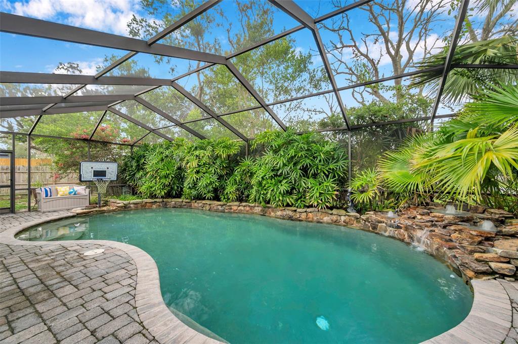 11334 Redgate Street Spring Hill, FL 34609 - Photo 21 of 67 a view of a backyard with plants and a patio