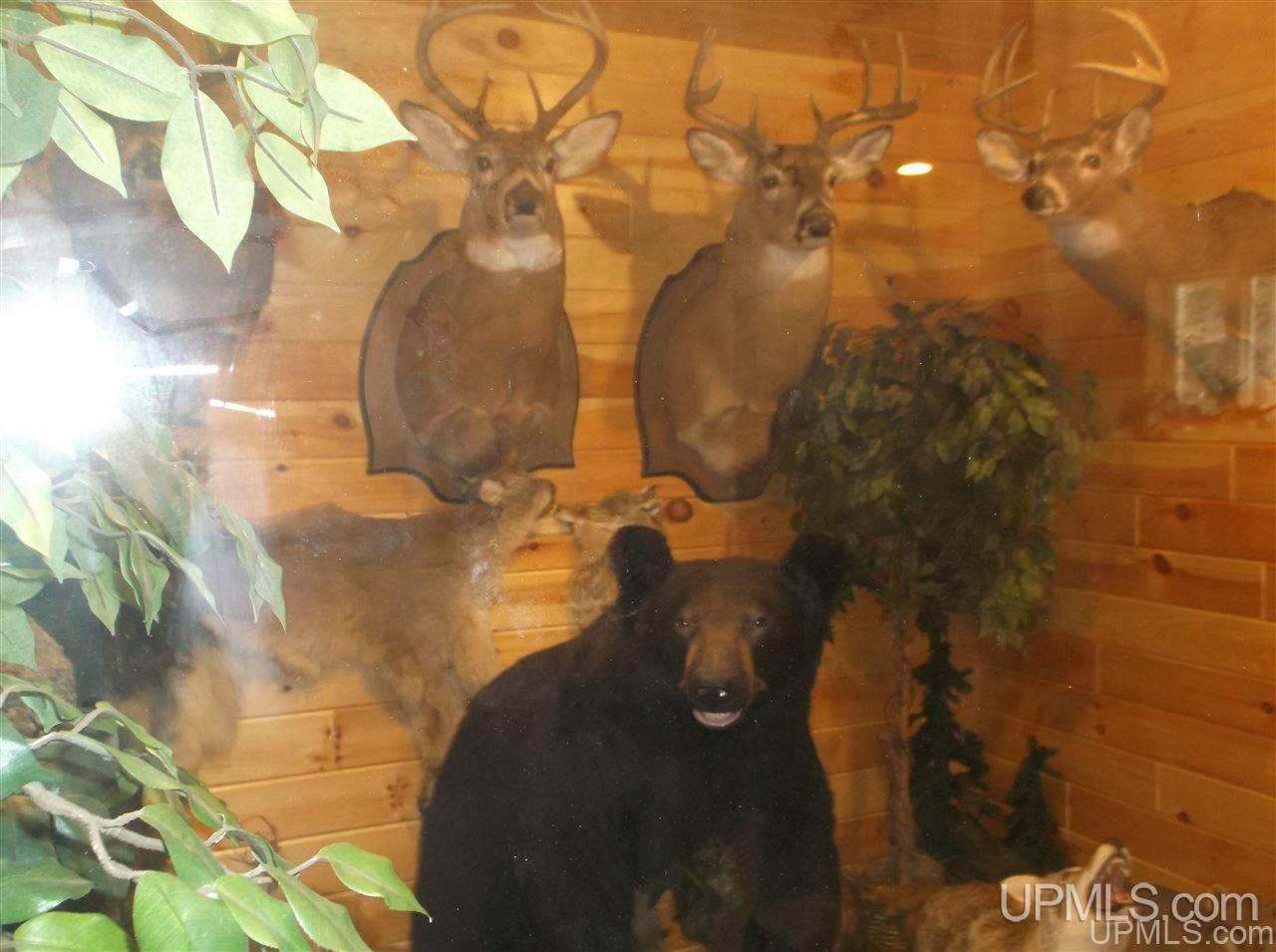 1986 Camp 5 Road Crystal Falls, MI 49920 - Photo 26 of 43 Gallery Image 26