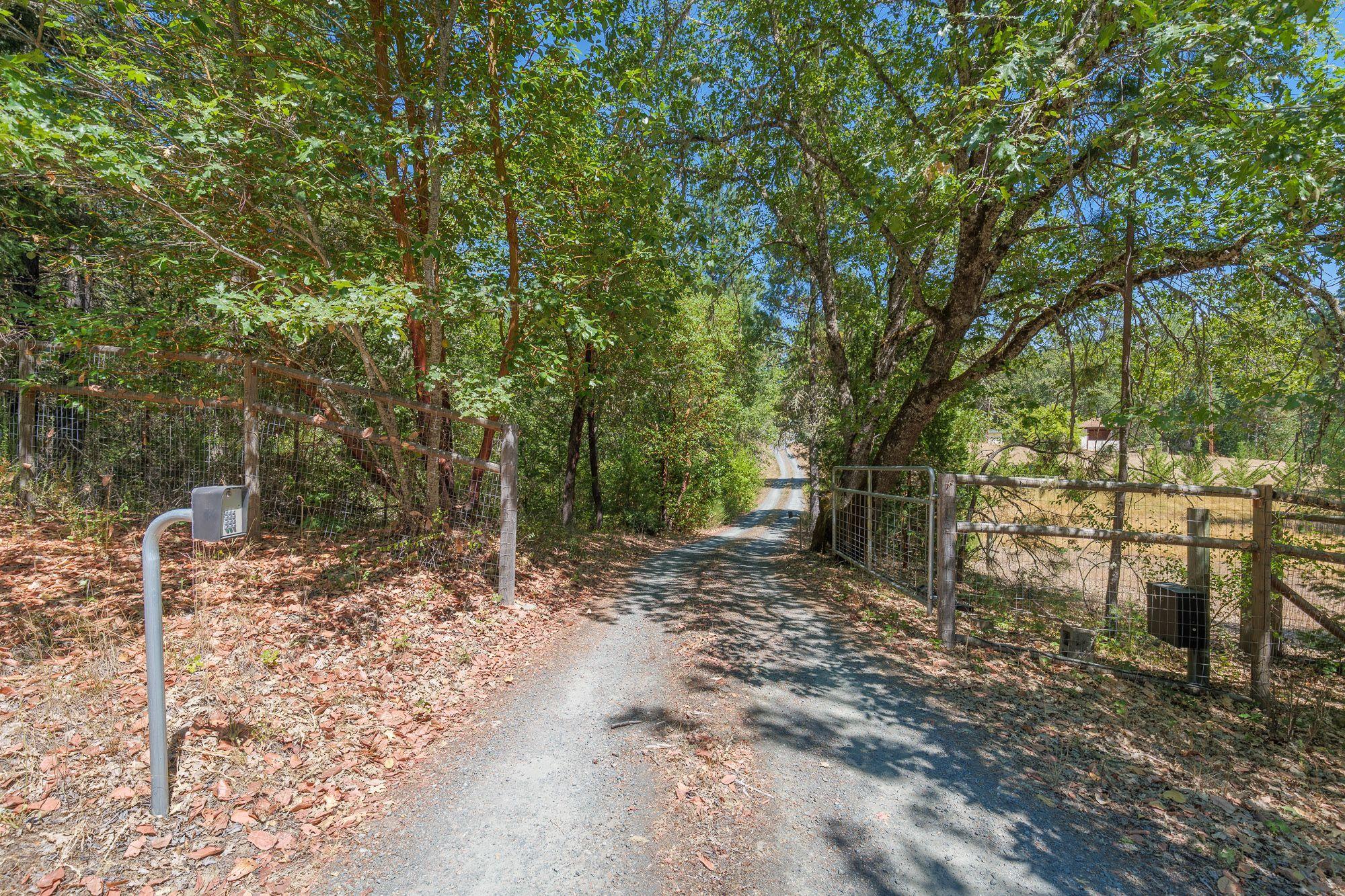 9266 Lower River Road Grants Pass, OR 97526 - Photo 36 of 39 a view of a forest filled with trees