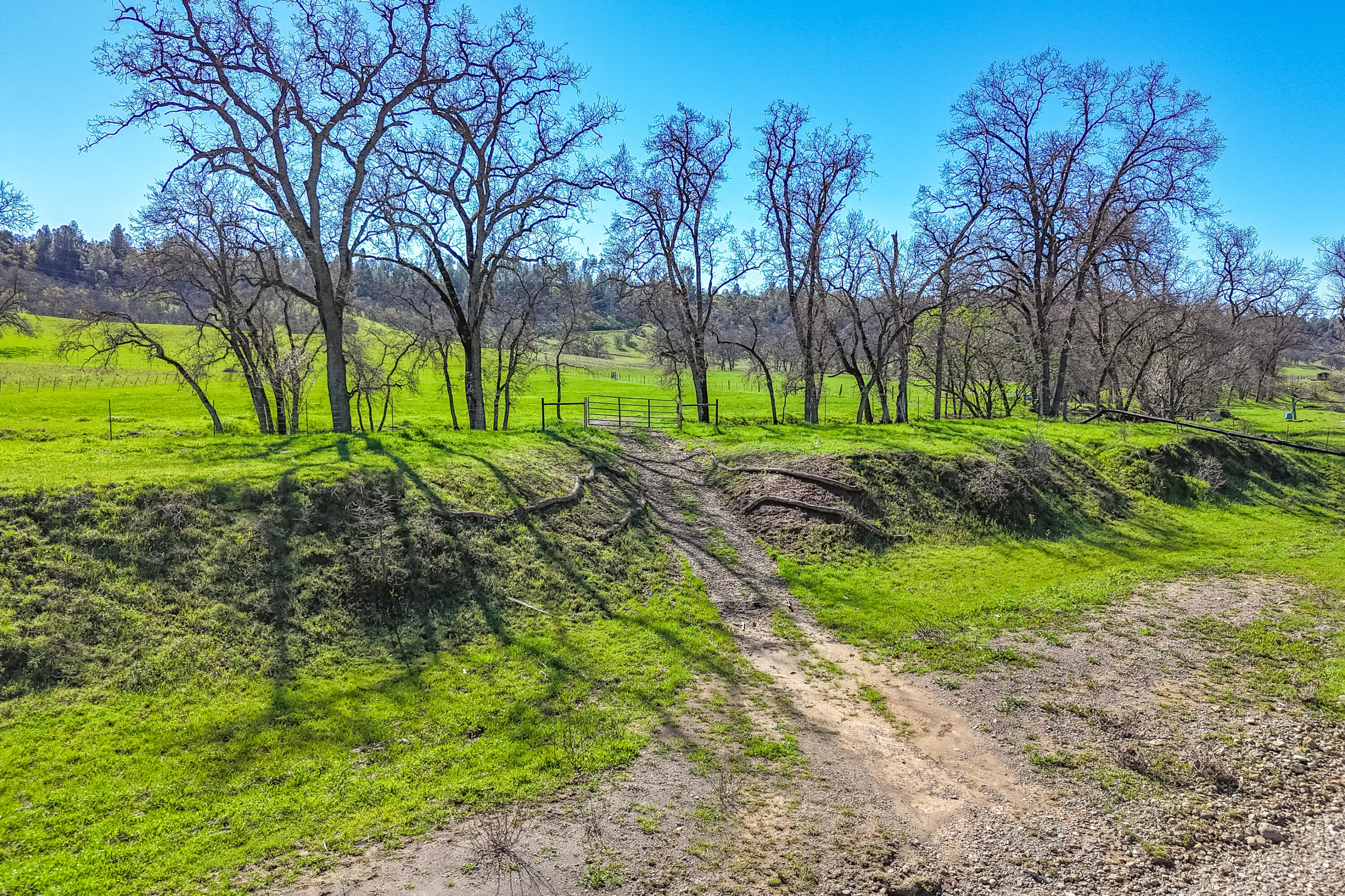 11875 Oak Run Road Oak Run, CA 96069 - Photo 104 of 127 Drone-46