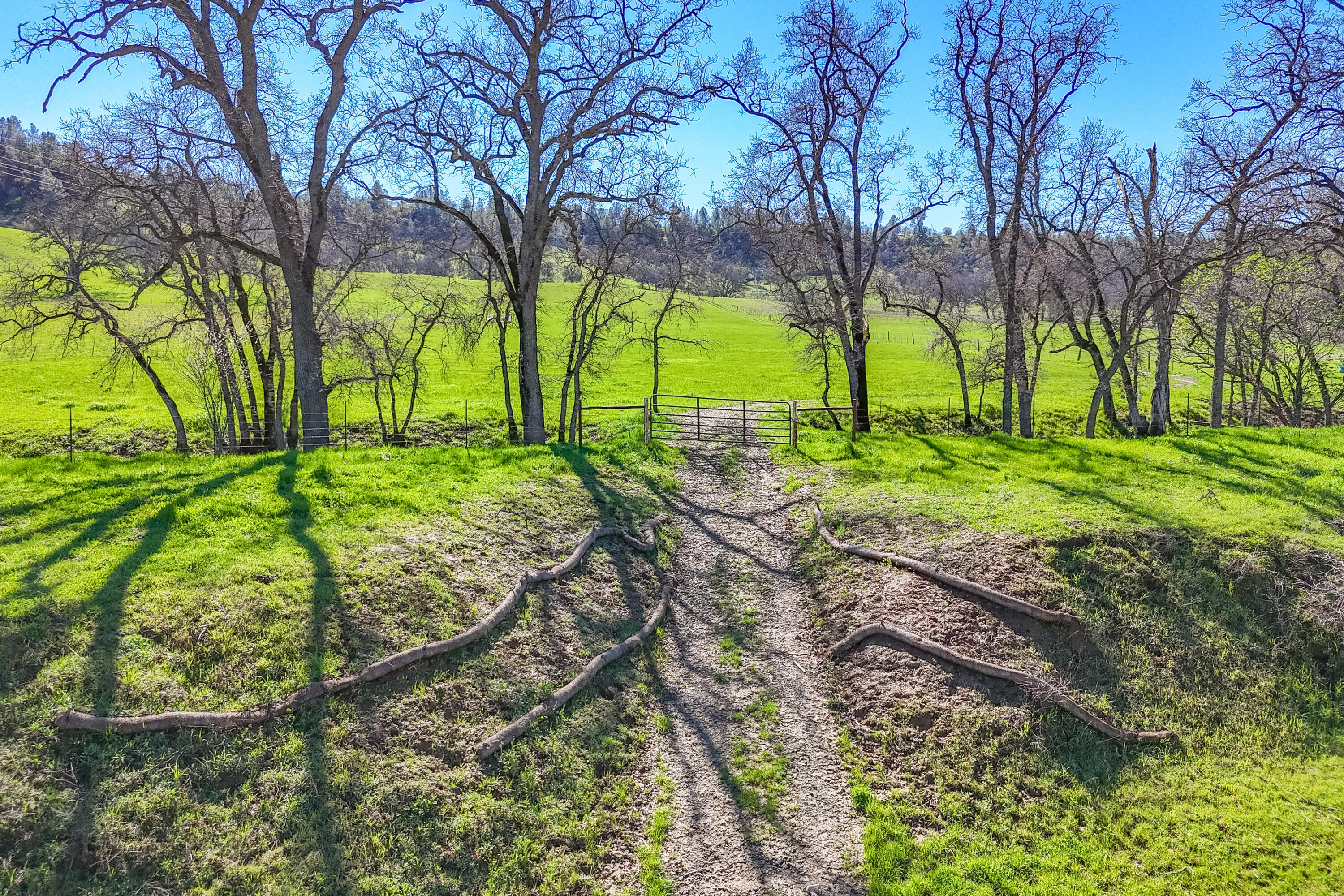 11875 Oak Run Road Oak Run, CA 96069 - Photo 105 of 127 a view of a backyard with large trees