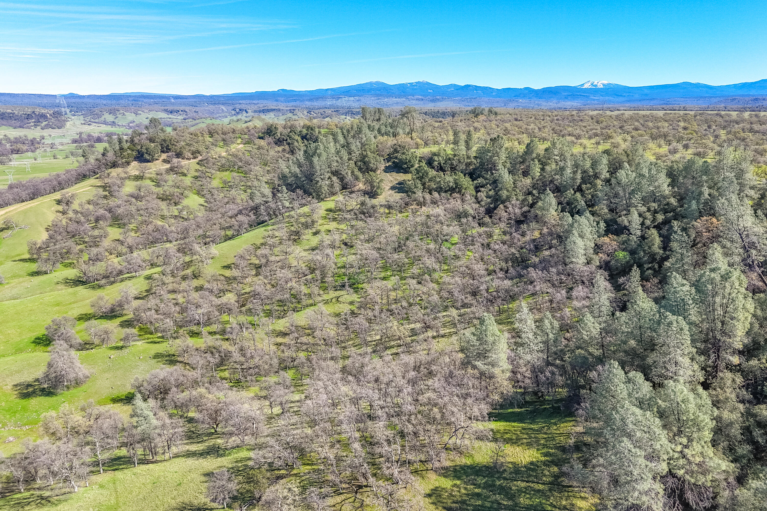 11875 Oak Run Road Oak Run, CA 96069 - Photo 110 of 127 Drone-53