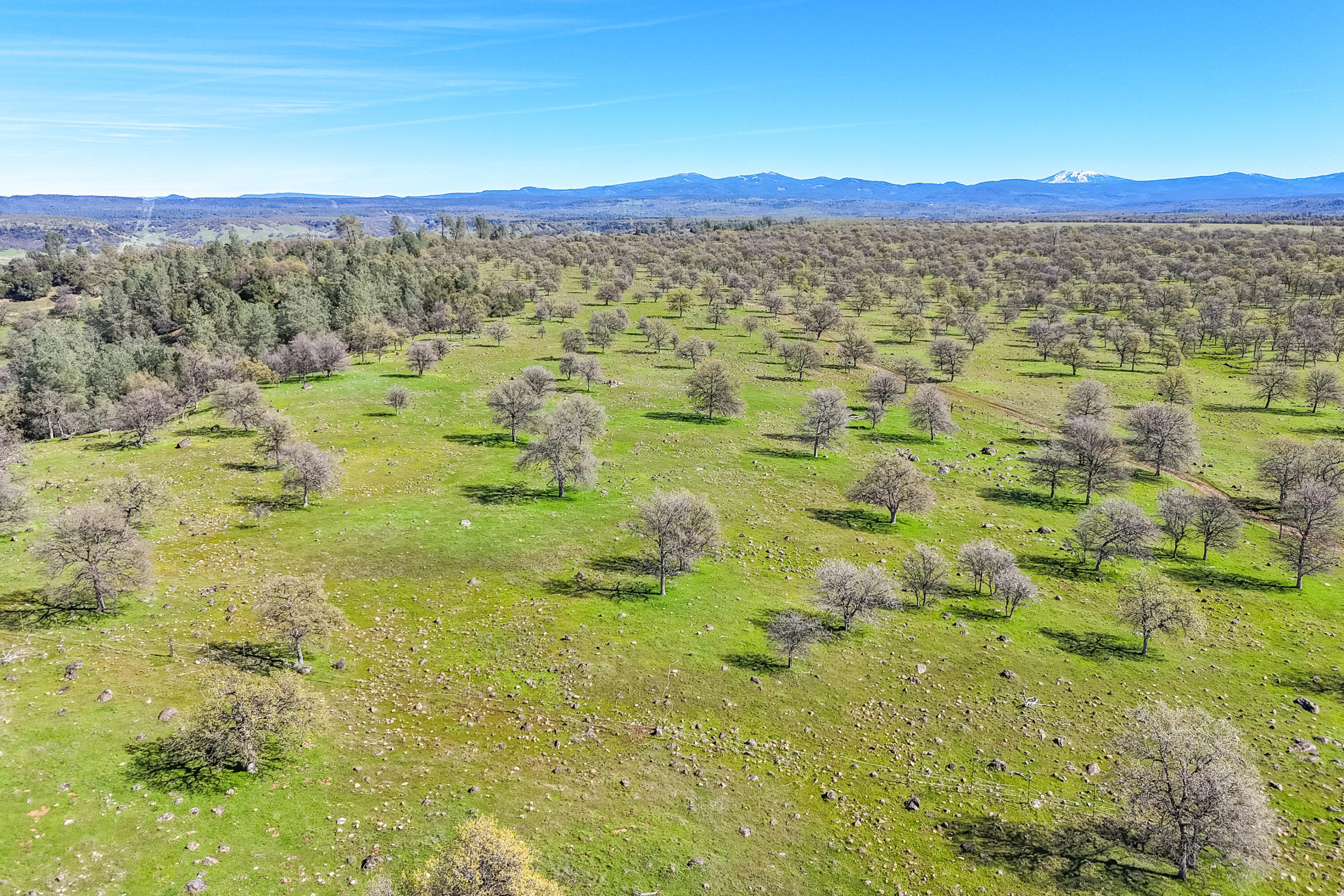 11875 Oak Run Road Oak Run, CA 96069 - Photo 111 of 127 a view of a city with lush green forest