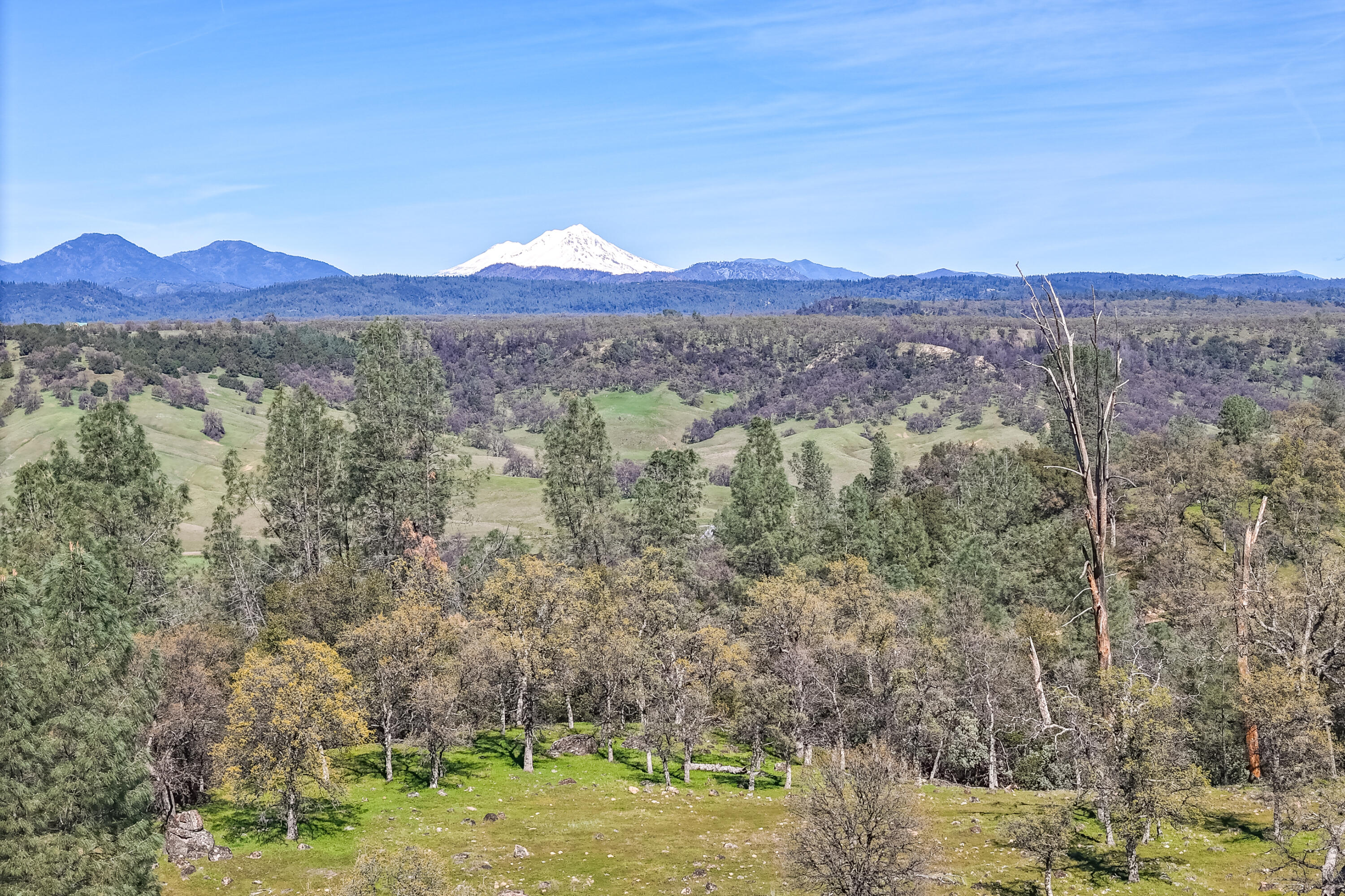 11875 Oak Run Road Oak Run, CA 96069 - Photo 114 of 127 Drone-58