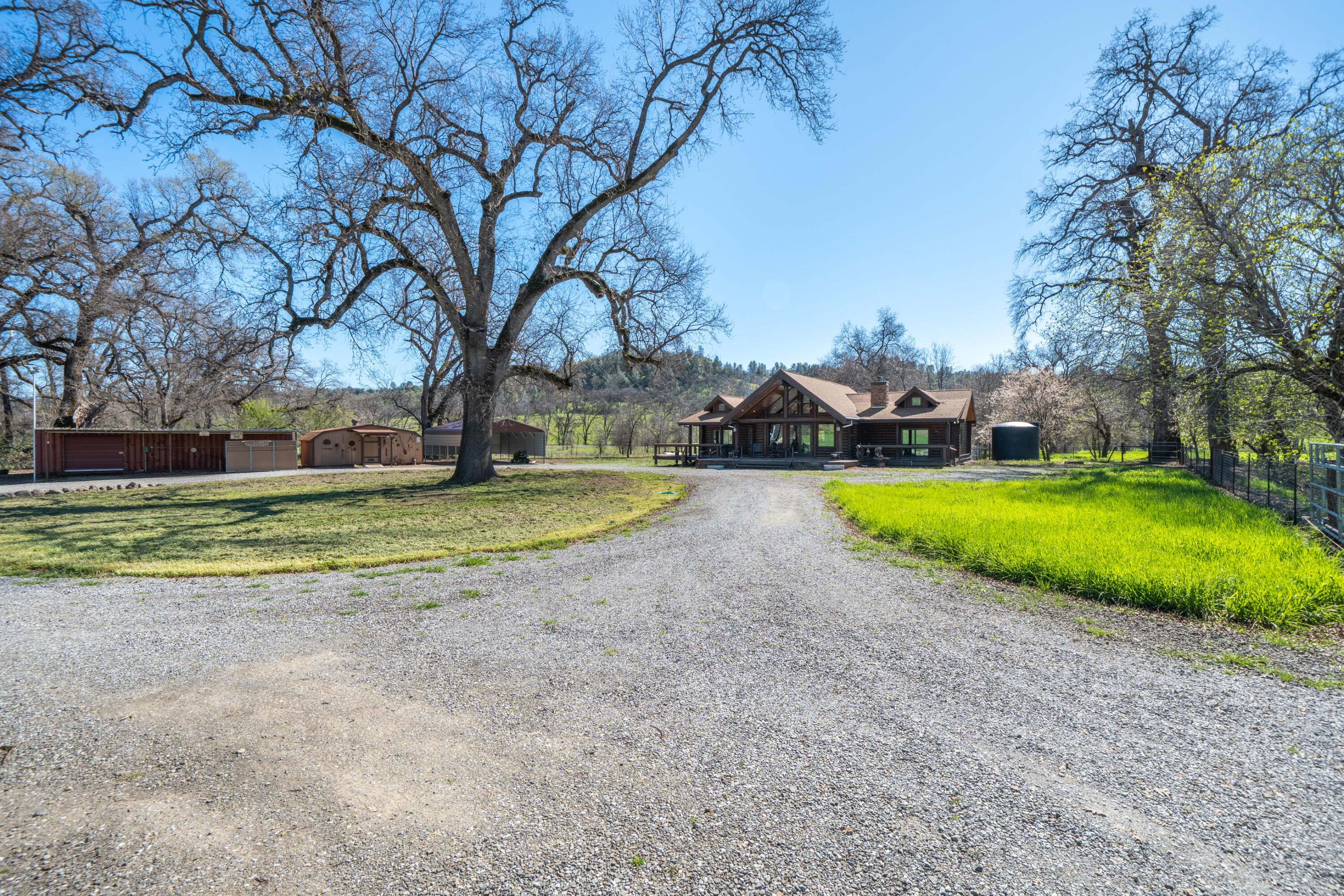 11875 Oak Run Road Oak Run, CA 96069 - Photo 40 of 127 a view of yard with swimming pool and green space