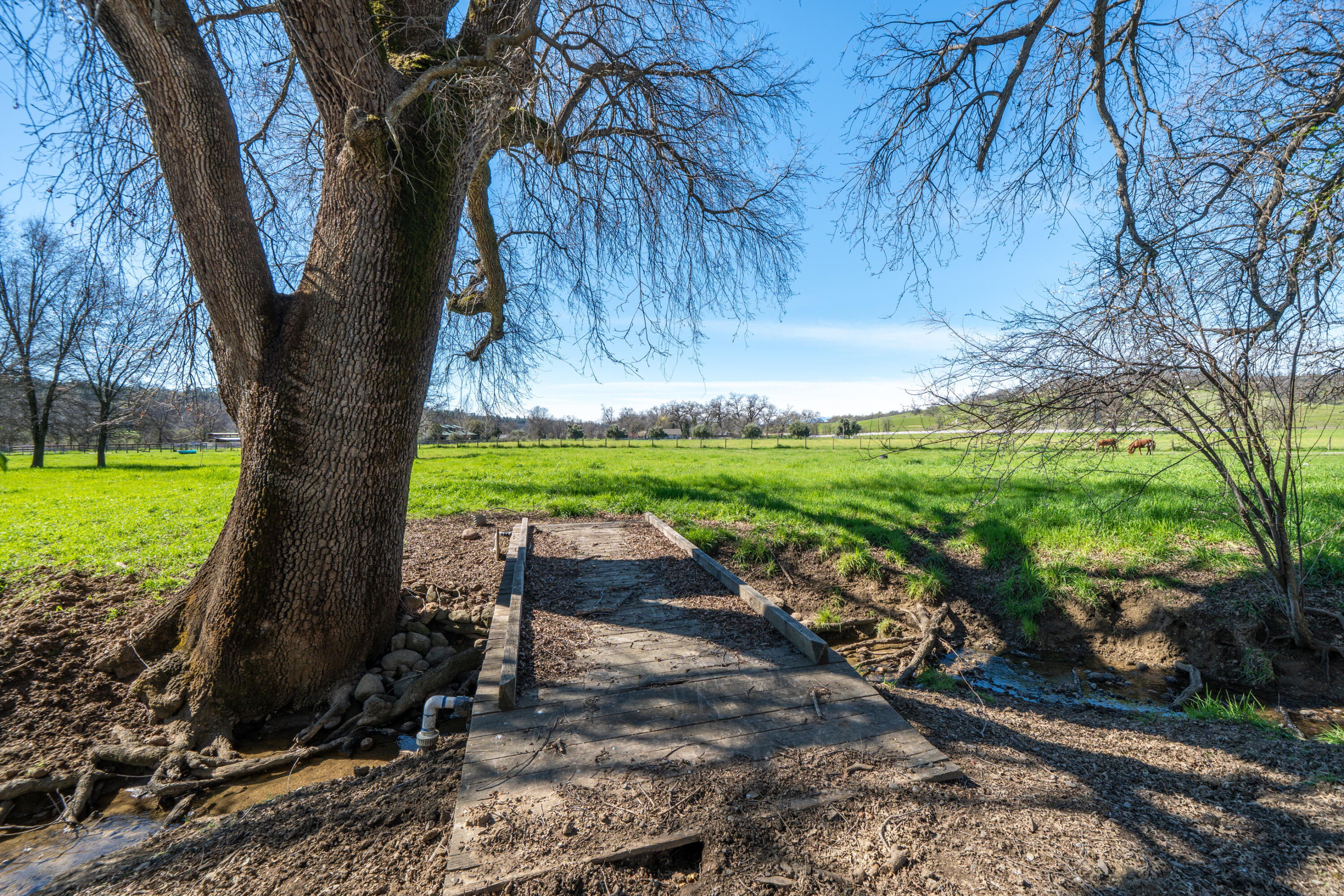 11875 Oak Run Road Oak Run, CA 96069 - Photo 44 of 127 11875 Oak Run Rd-67