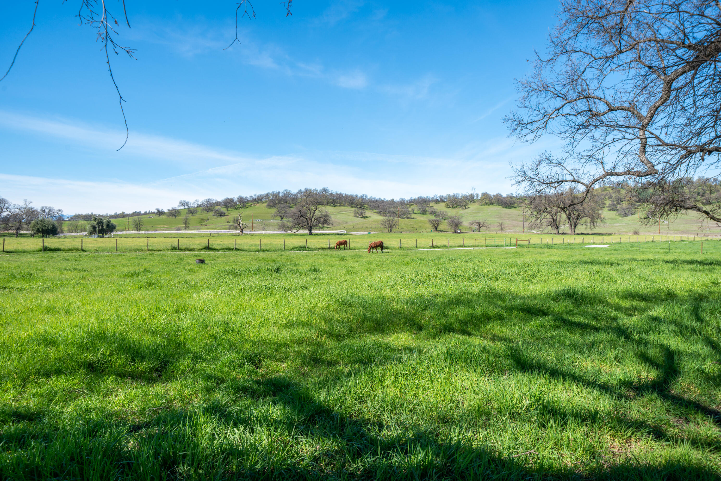 11875 Oak Run Road Oak Run, CA 96069 - Photo 47 of 127 11875 Oak Run Rd-68