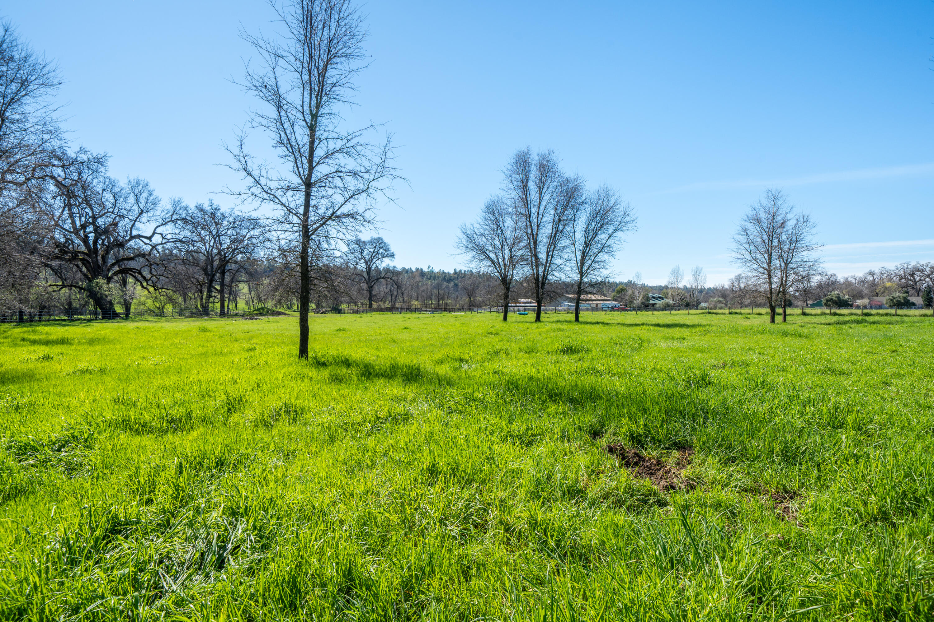 11875 Oak Run Road Oak Run, CA 96069 - Photo 48 of 127 11875 Oak Run Rd-66