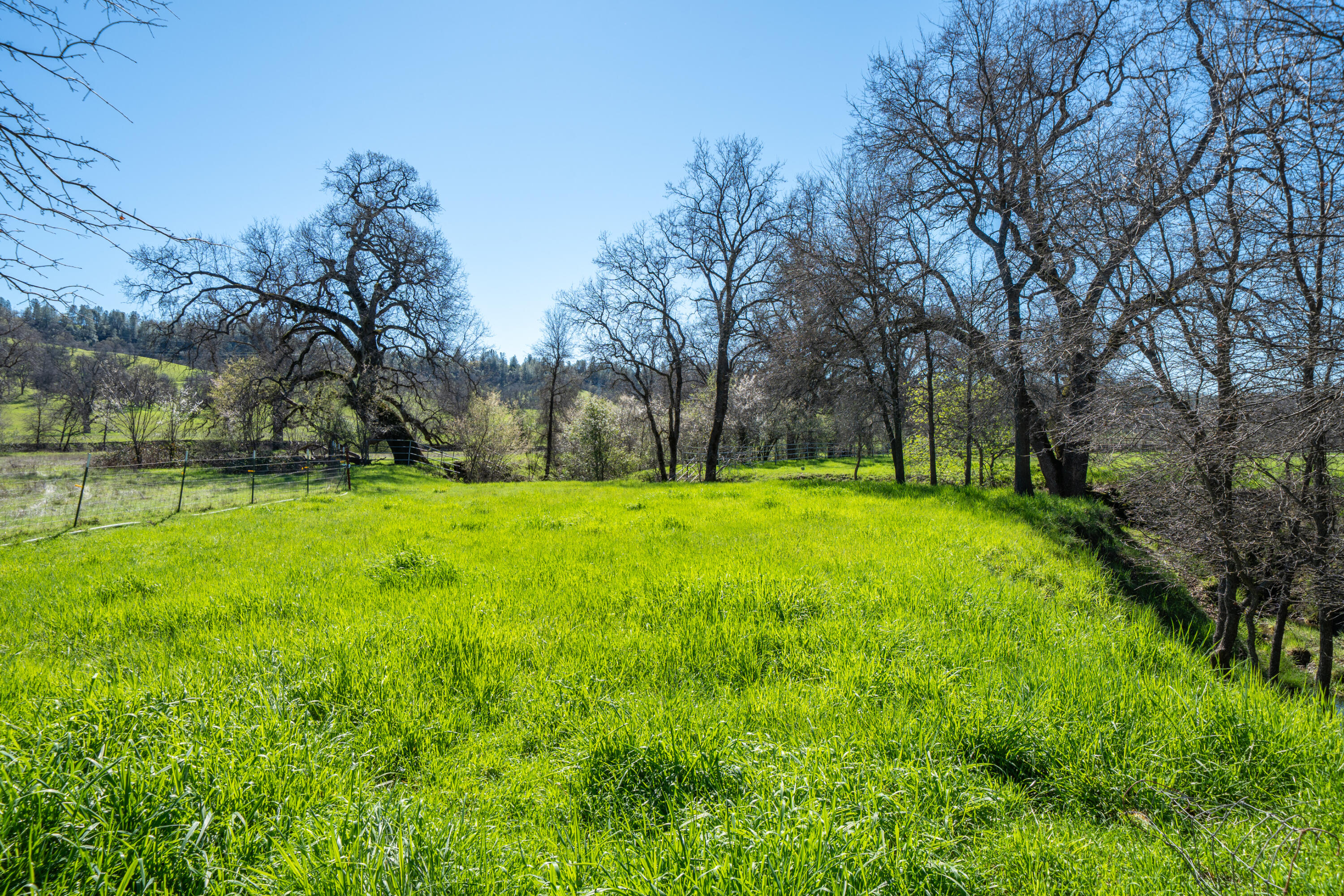 11875 Oak Run Road Oak Run, CA 96069 - Photo 49 of 127 a view of green field with trees in the background