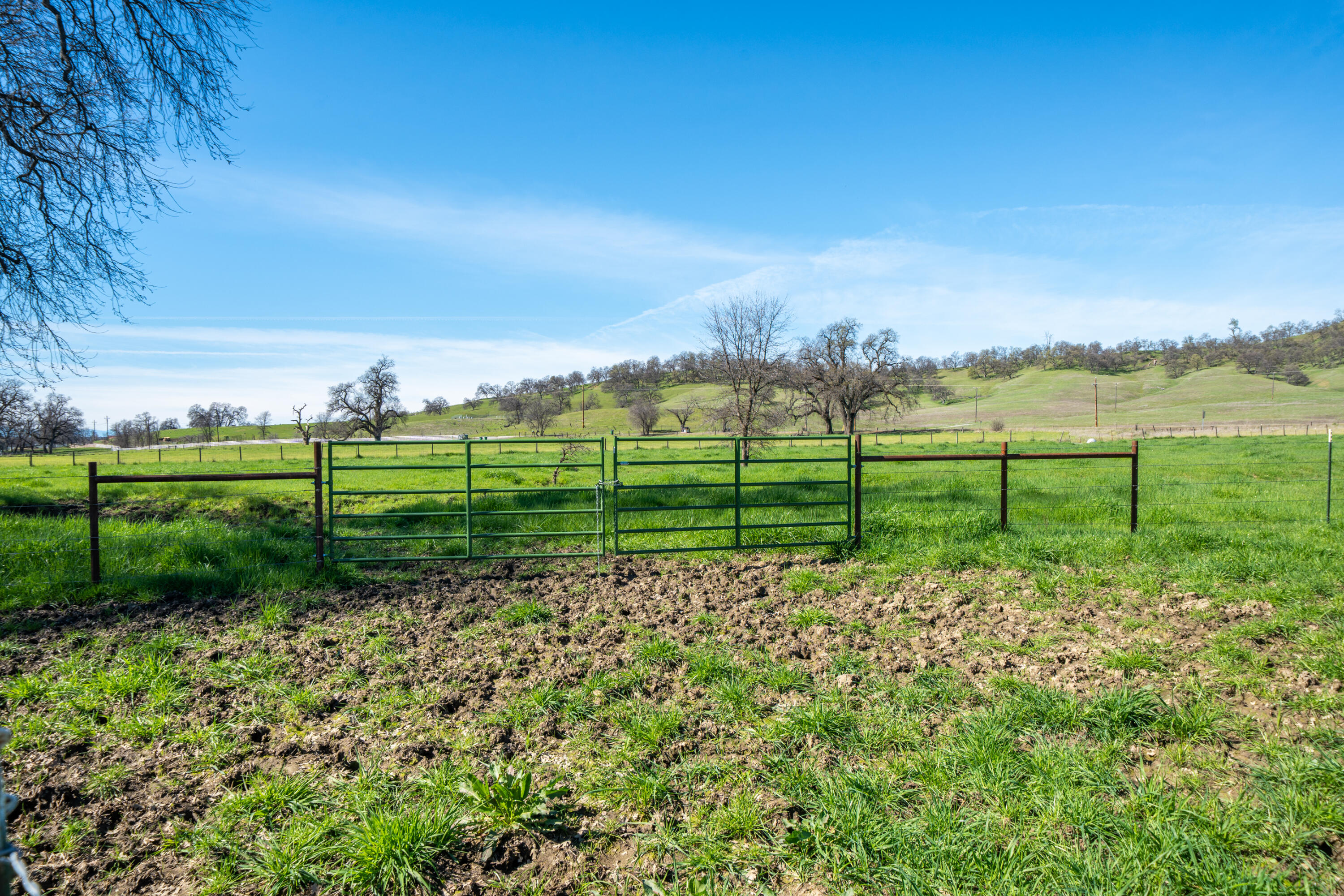 11875 Oak Run Road Oak Run, CA 96069 - Photo 70 of 127 a view of a golf course with a lake