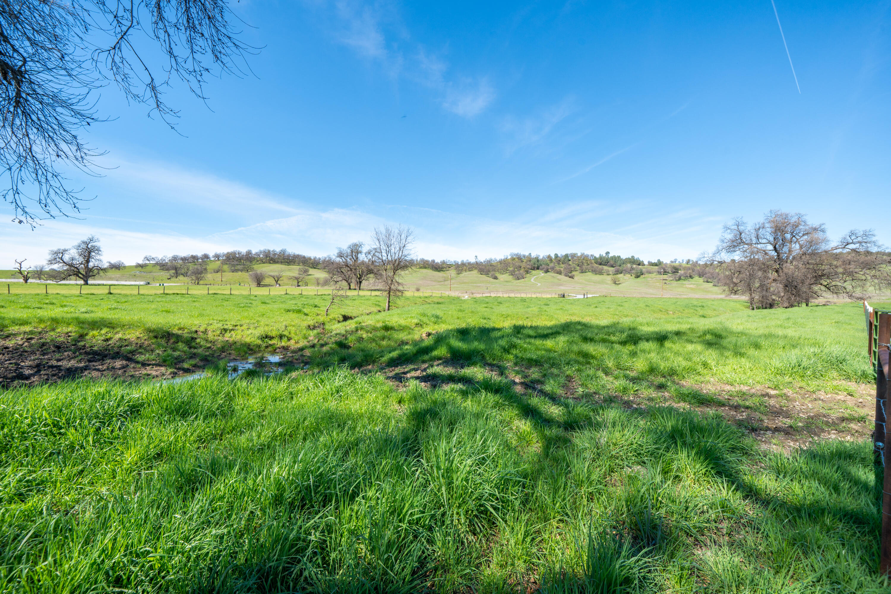11875 Oak Run Road Oak Run, CA 96069 - Photo 71 of 127 a view of an outdoor space and a yard