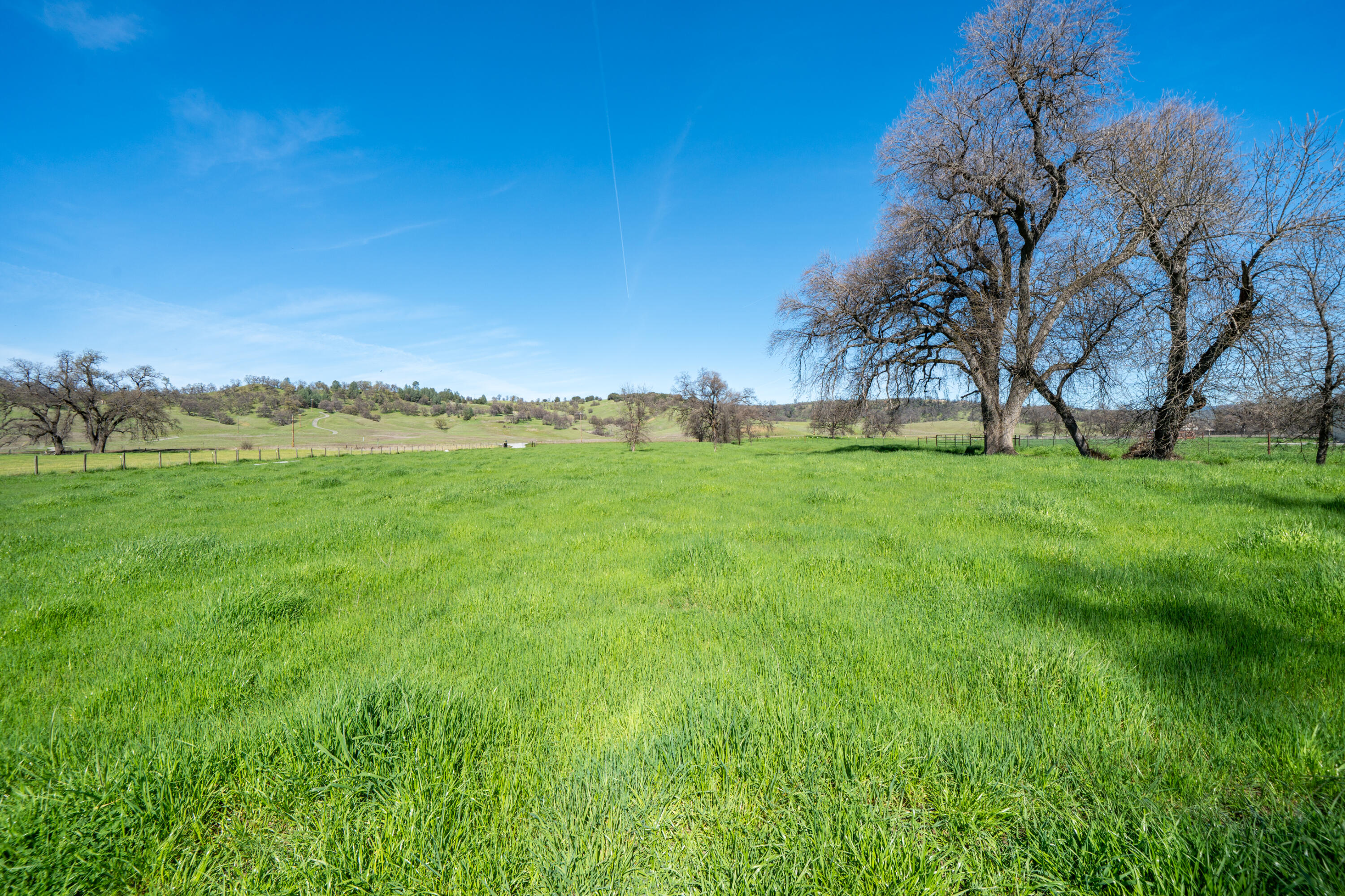 11875 Oak Run Road Oak Run, CA 96069 - Photo 73 of 127 11875 Oak Run Rd-98