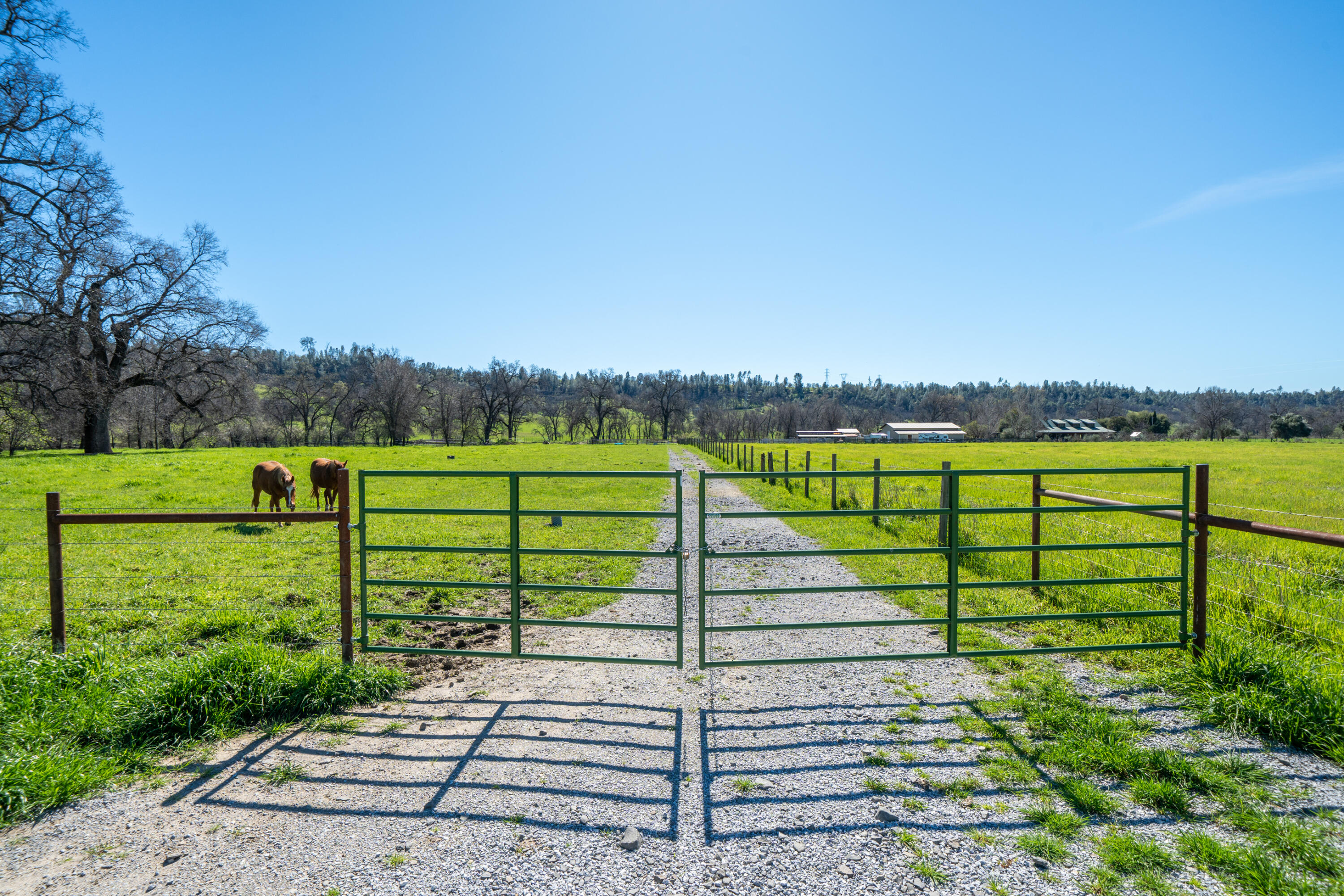 11875 Oak Run Road Oak Run, CA 96069 - Photo 74 of 127 11875 Oak Run Rd-99