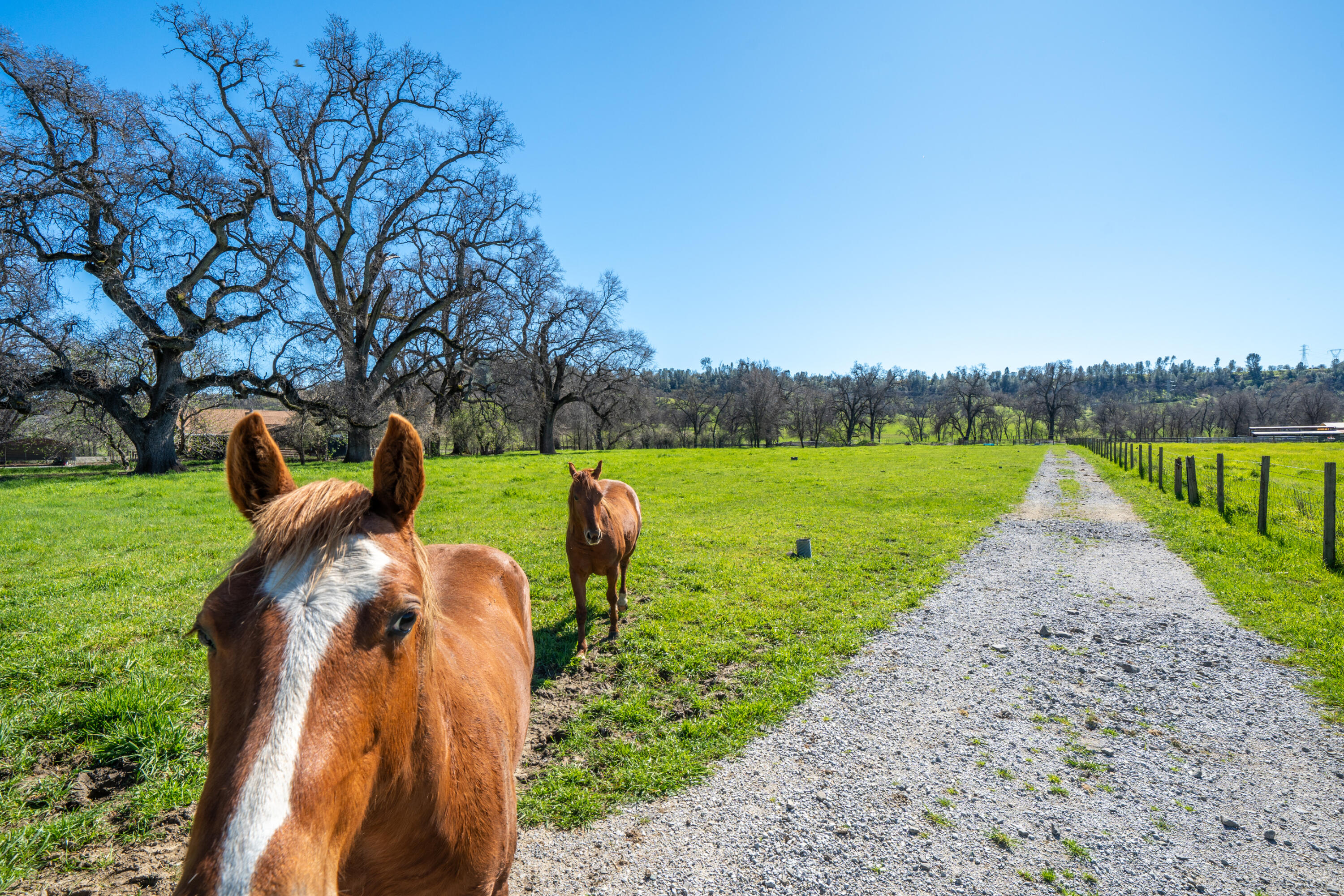 11875 Oak Run Road Oak Run, CA 96069 - Photo 75 of 127 11875 Oak Run Rd-100