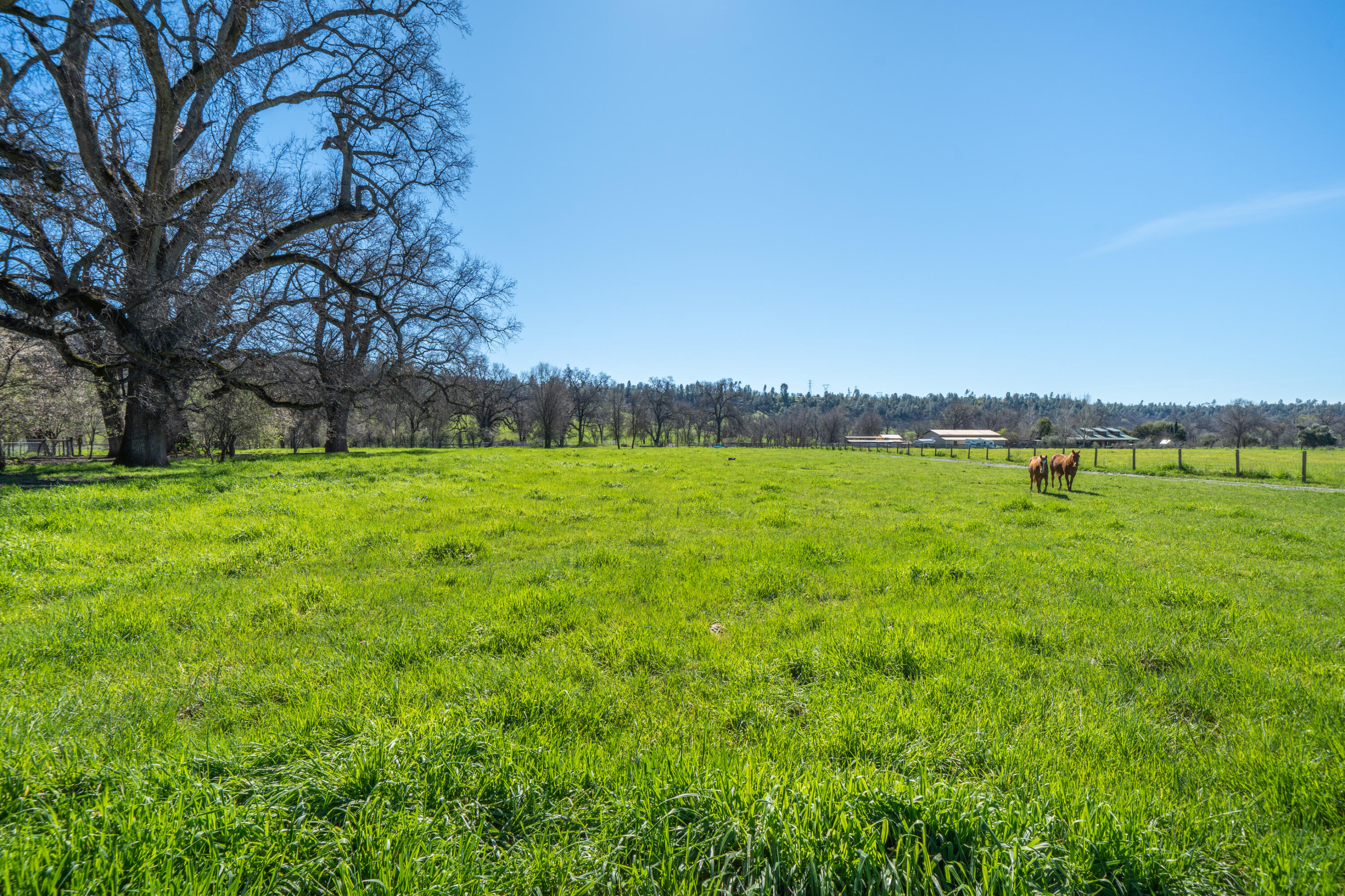 11875 Oak Run Road Oak Run, CA 96069 - Photo 77 of 127 11875 Oak Run Rd-102