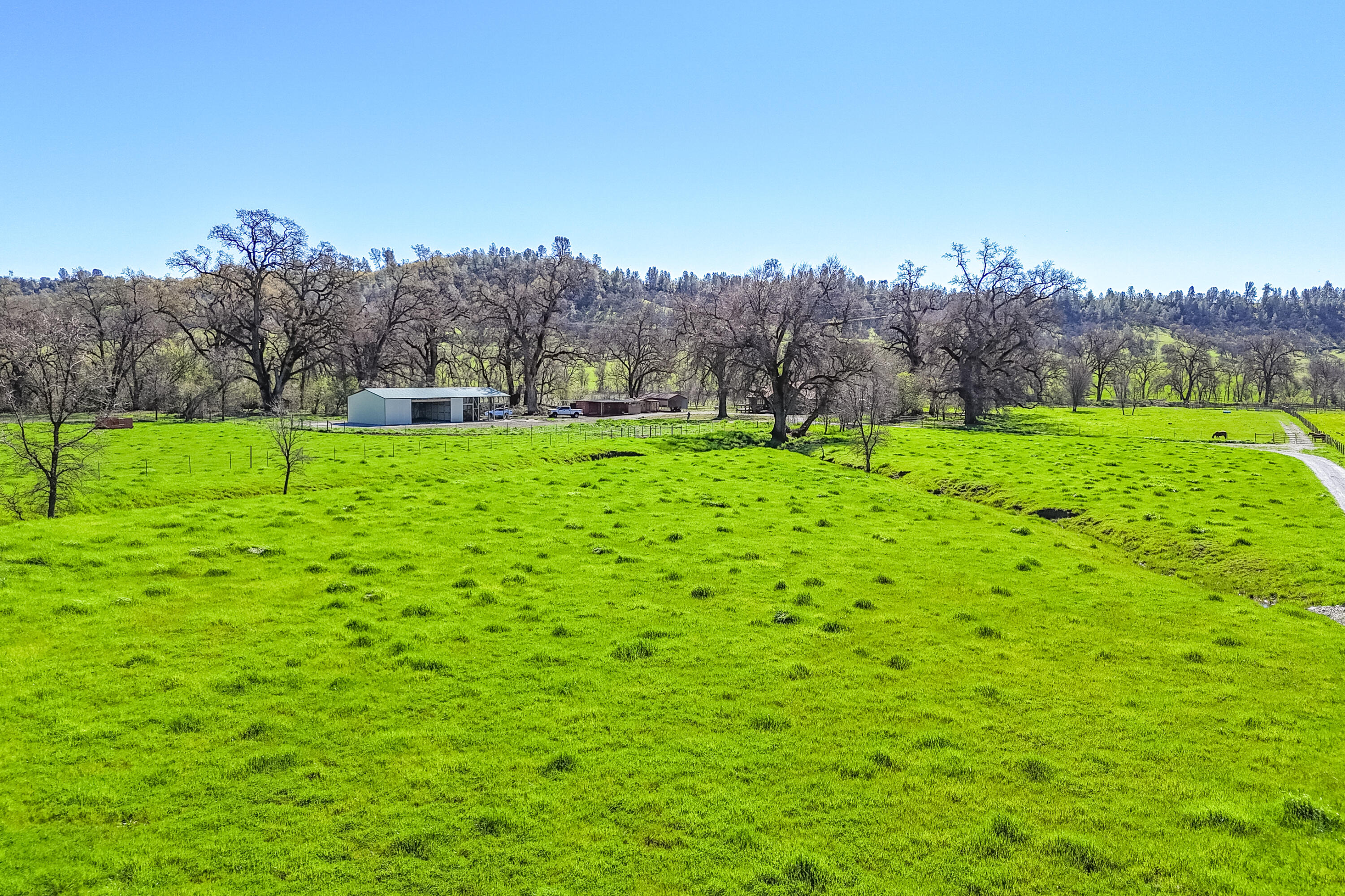 11875 Oak Run Road Oak Run, CA 96069 - Photo 85 of 127 a backyard of a house with yard and outdoor seating