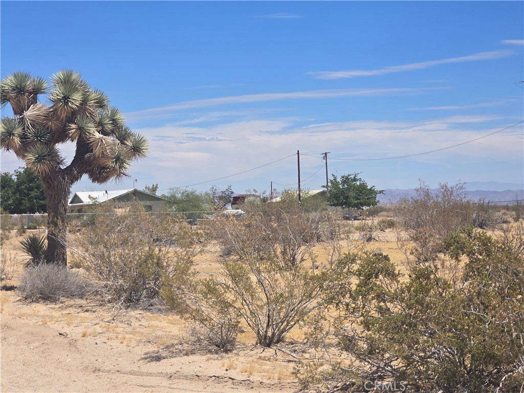 1577 Mc Garry Road Joshua Tree, CA 92252 - Photo 7 of 8