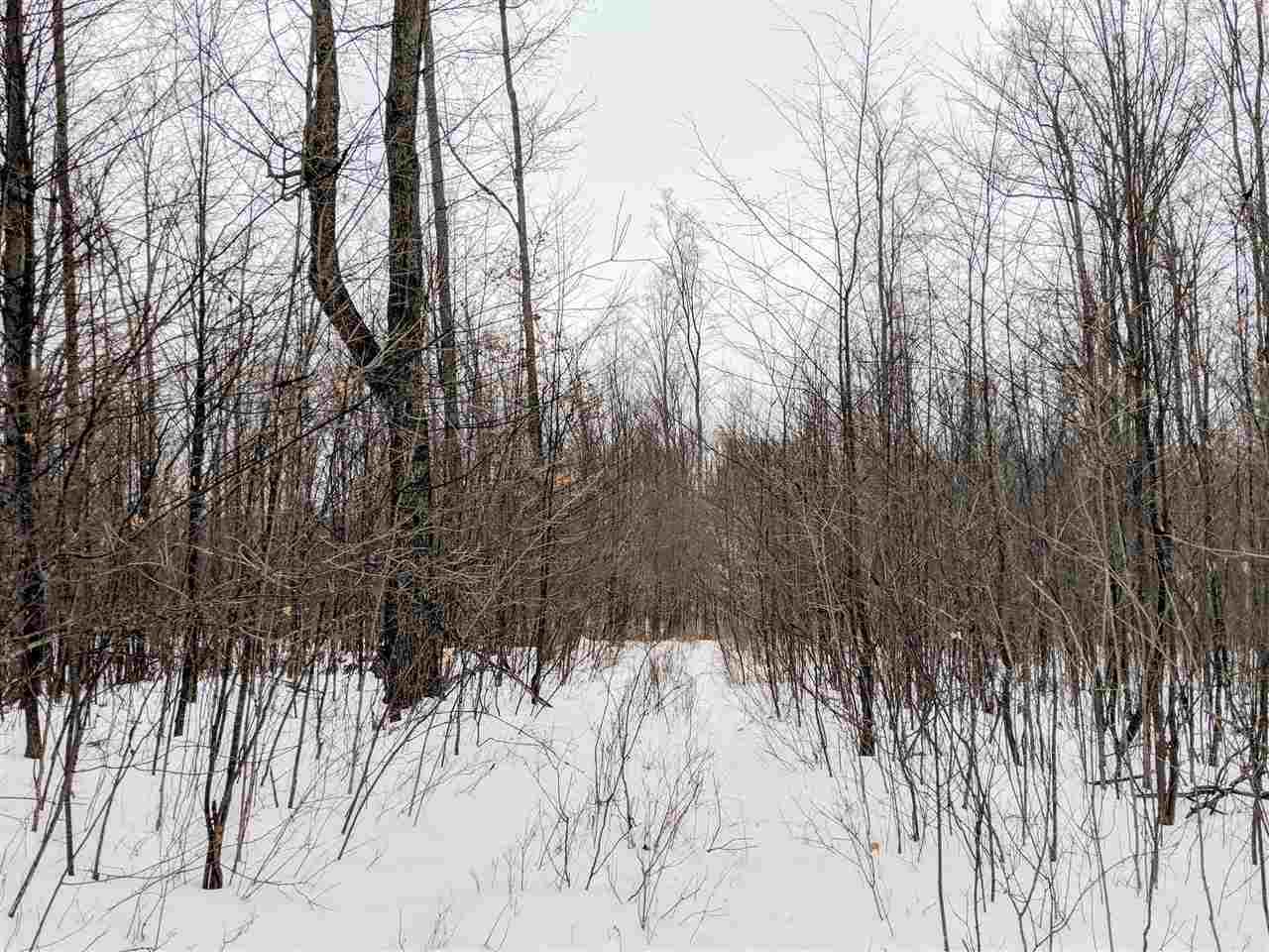 6690 Packingham Road Manton, MI 49663 - Photo 18 of 26 1856415-17.JPG