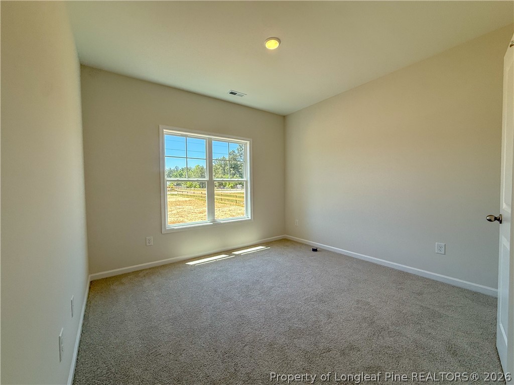 3987 Blue Springs Road Red Springs, NC 28377 - Photo 5 of 12 Gallery Image 5