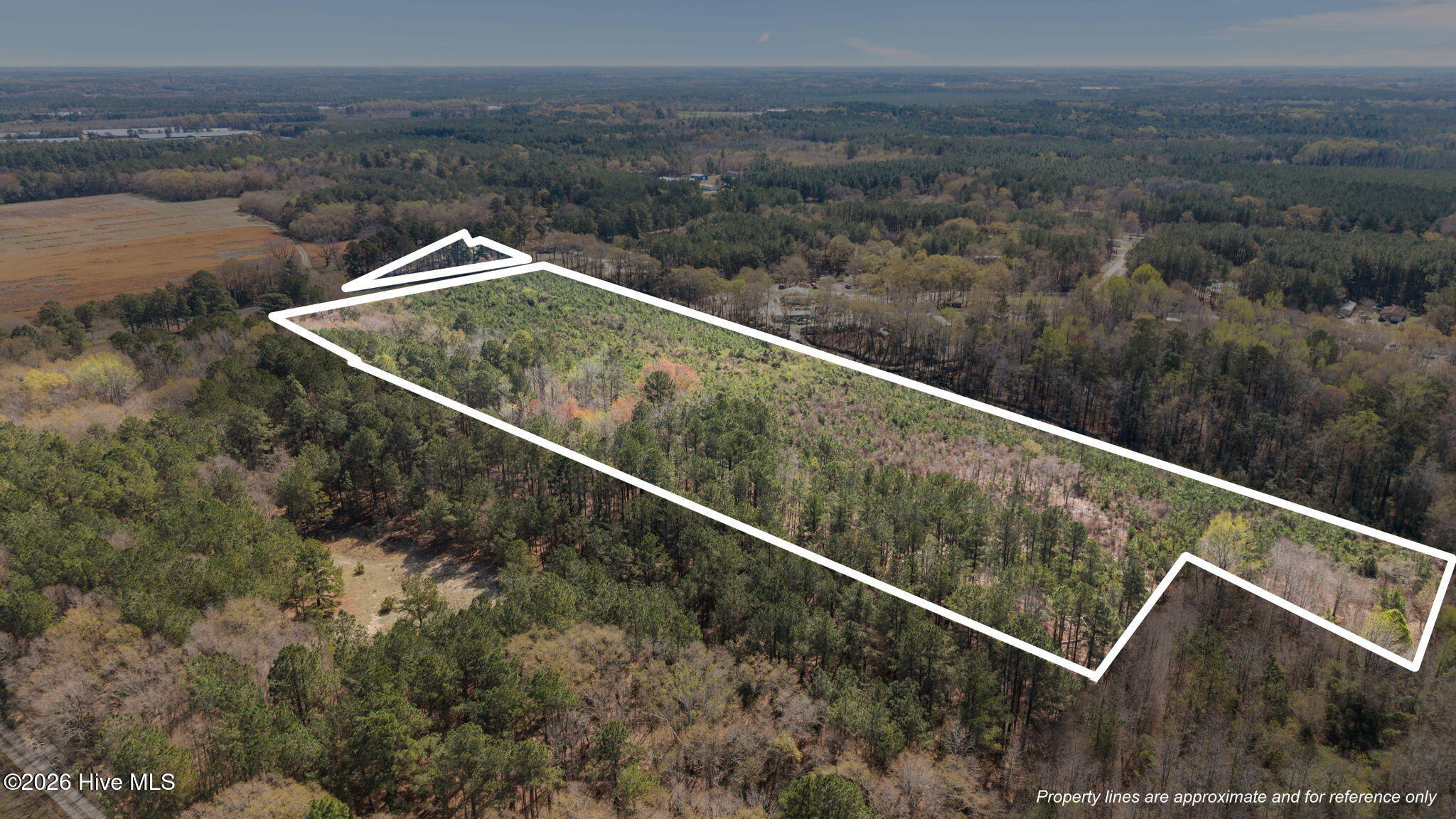 Tbd Scholl Road Hamlet, NC 28345 - Photo 2 of 12 SCHOLL ROAD LAND - 15+ ACRES