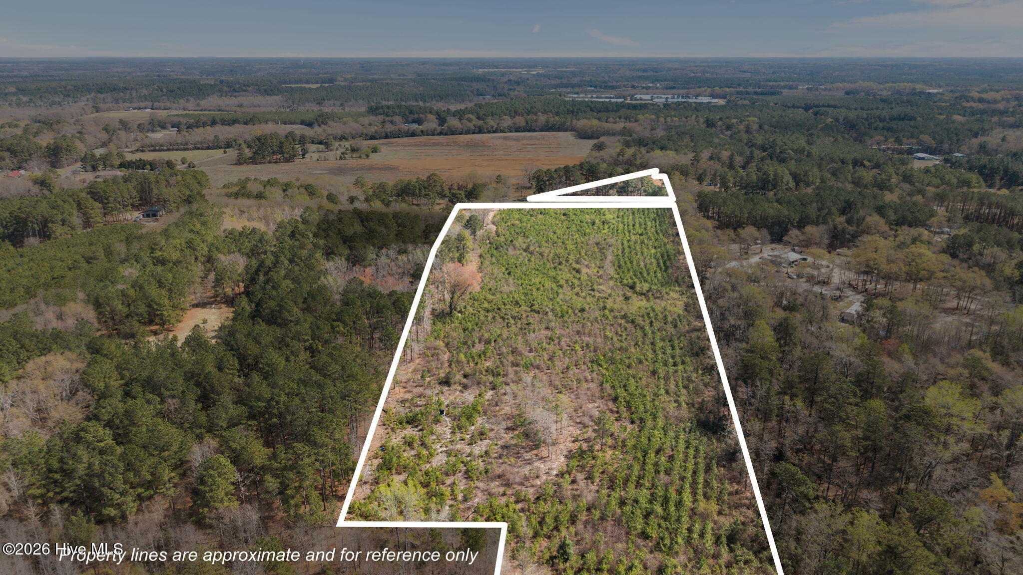 Tbd Scholl Road Hamlet, NC 28345 - Photo 5 of 12 SCHOLL ROAD LAND - 15+ ACRES