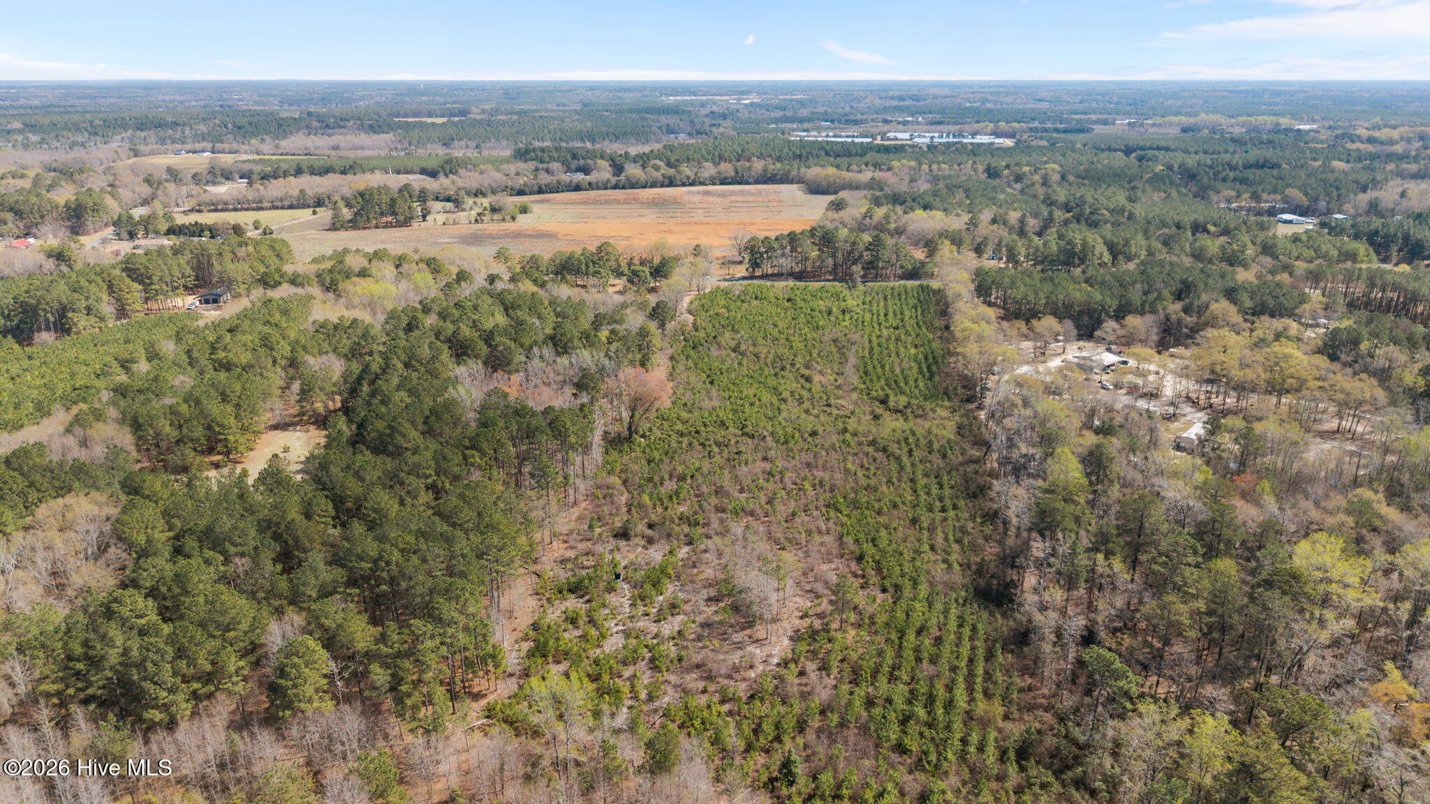 Tbd Scholl Road Hamlet, NC 28345 - Photo 7 of 12 SCHOLL ROAD LAND - 15+ ACRES