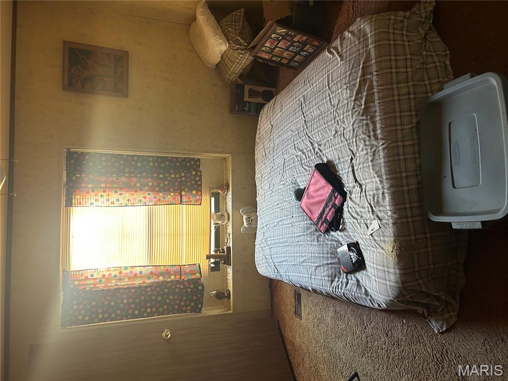 12985 Friedman Road Ste. Genevieve, MO 63670 - Photo 12 of 36