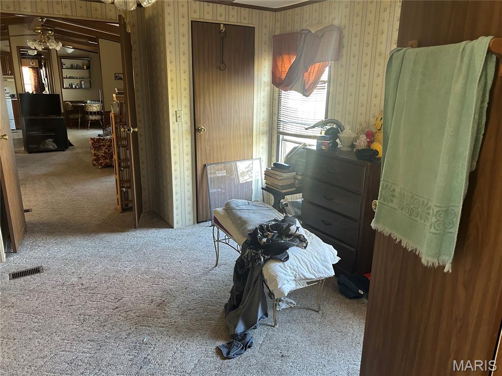 12985 Friedman Road Ste. Genevieve, MO 63670 - Photo 22 of 36