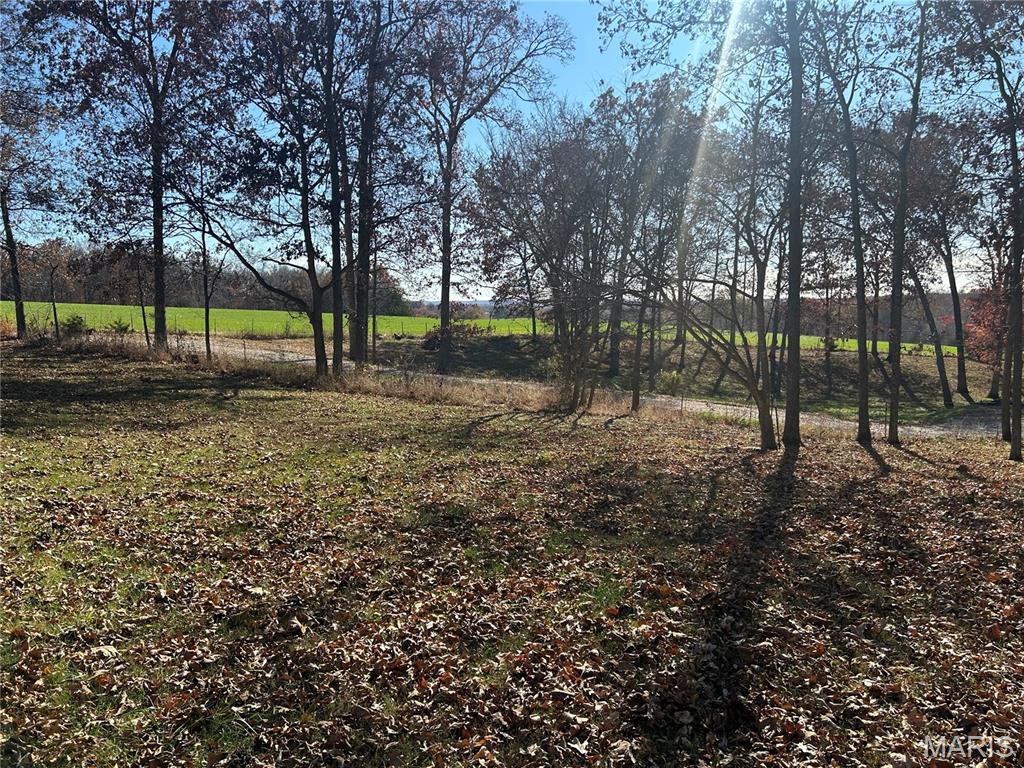 12985 Friedman Road Ste. Genevieve, MO 63670 - Photo 36 of 36