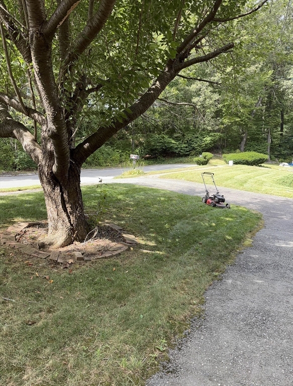 13 Sidney Road Milford, MA 01757 - Photo 5 of 30 Gallery Image 5