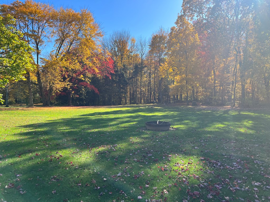 3958 Georgetown Road Polk, PA 16342 - Photo 7 of 20 a view of a park