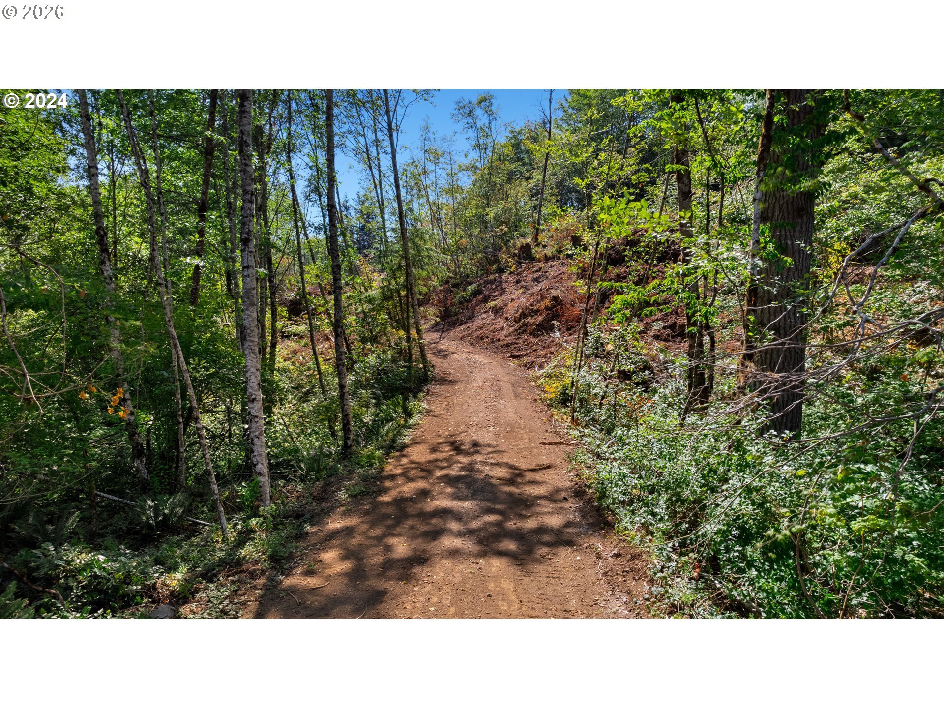 Northeast Berry Road Battle Ground, WA 98604 - Photo 12 of 17