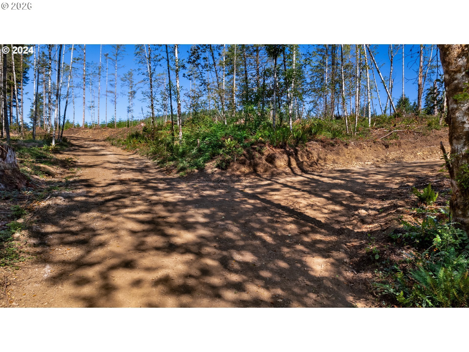 Northeast Berry Road Battle Ground, WA 98604 - Photo 13 of 17