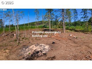 Northeast Berry Road Battle Ground, WA 98604 - Photo 14 of 17