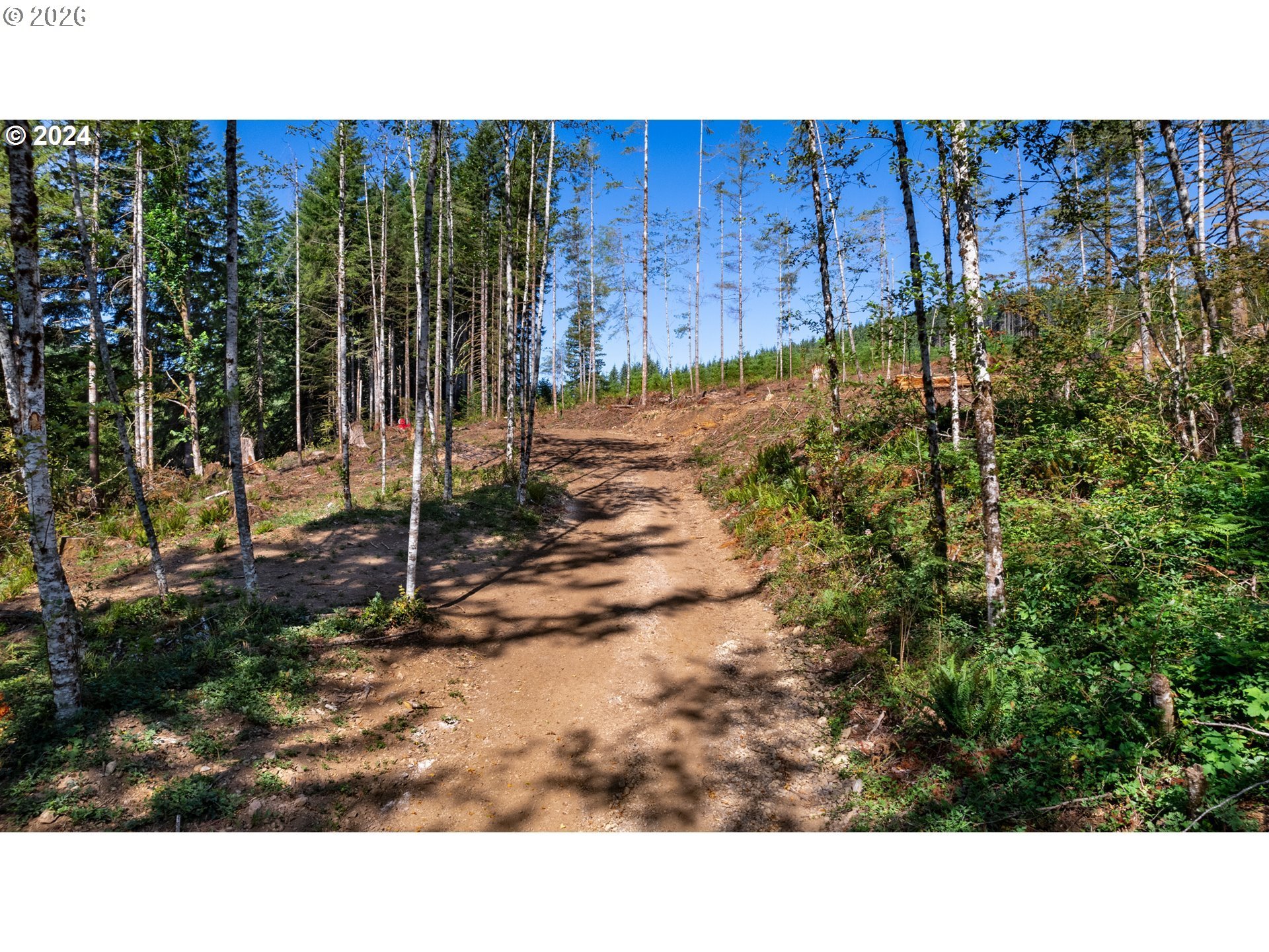 Northeast Berry Road Battle Ground, WA 98604 - Photo 15 of 17