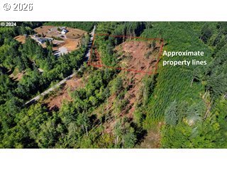 Northeast Berry Road Battle Ground, WA 98604 - Photo 2 of 17