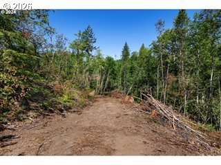 Northeast Berry Road Battle Ground, WA 98604 - Photo 3 of 17