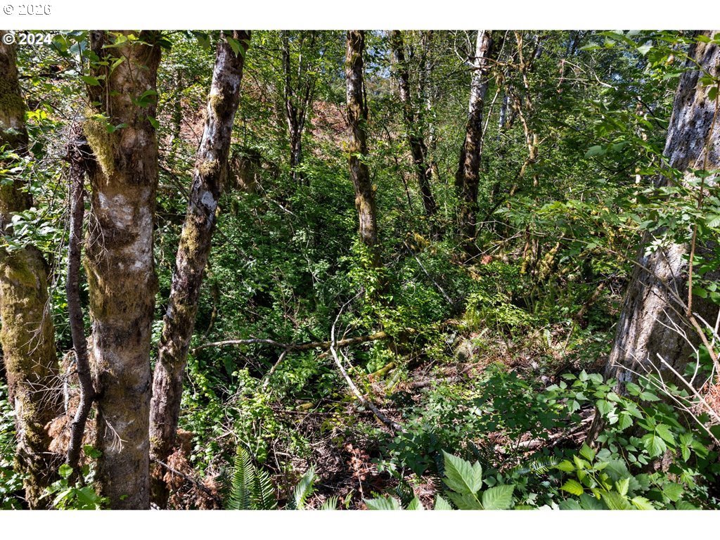 Northeast Berry Road Battle Ground, WA 98604 - Photo 4 of 17