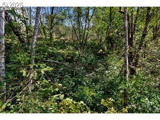 Northeast Berry Road Battle Ground, WA 98604 - Photo 5 of 17